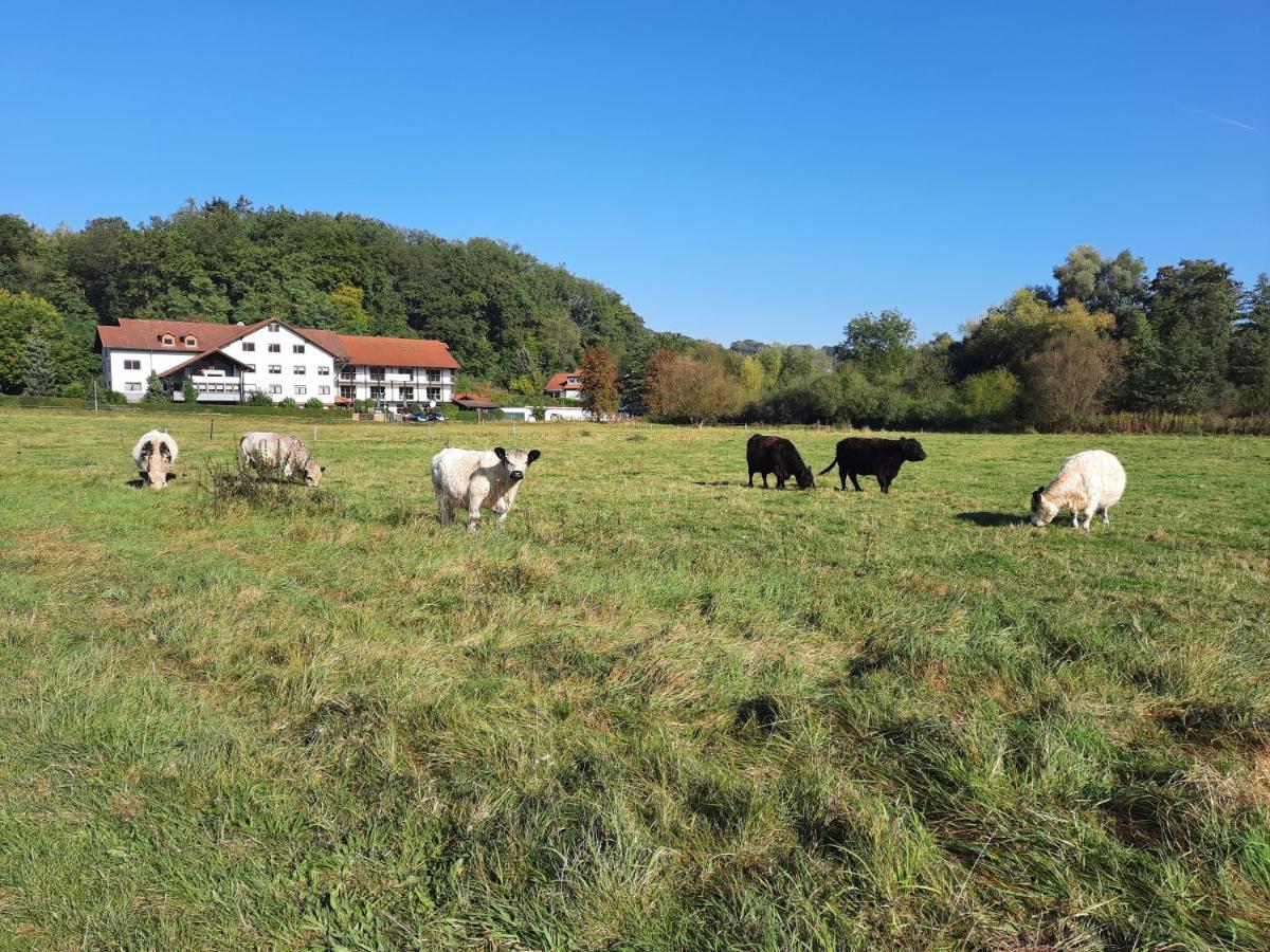 Landgasthof Rotlipp Gaestezimmer Ортенберг Екстер'єр фото