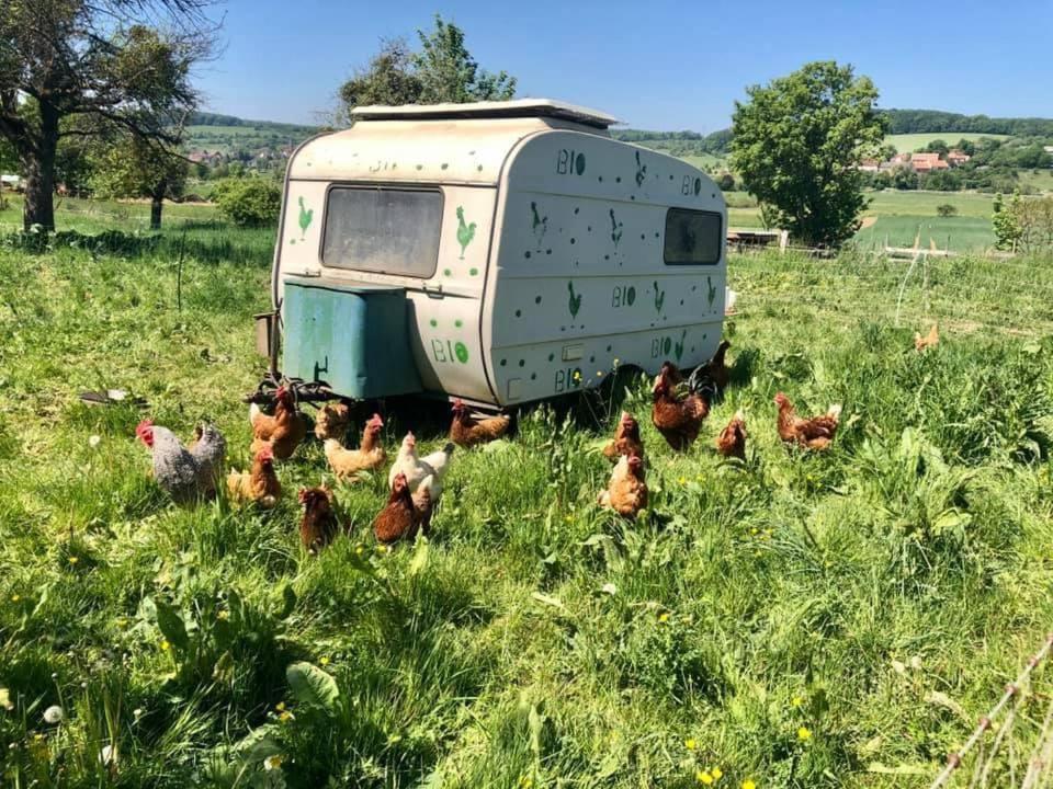 Landgasthof Rotlipp Gaestezimmer Ортенберг Екстер'єр фото
