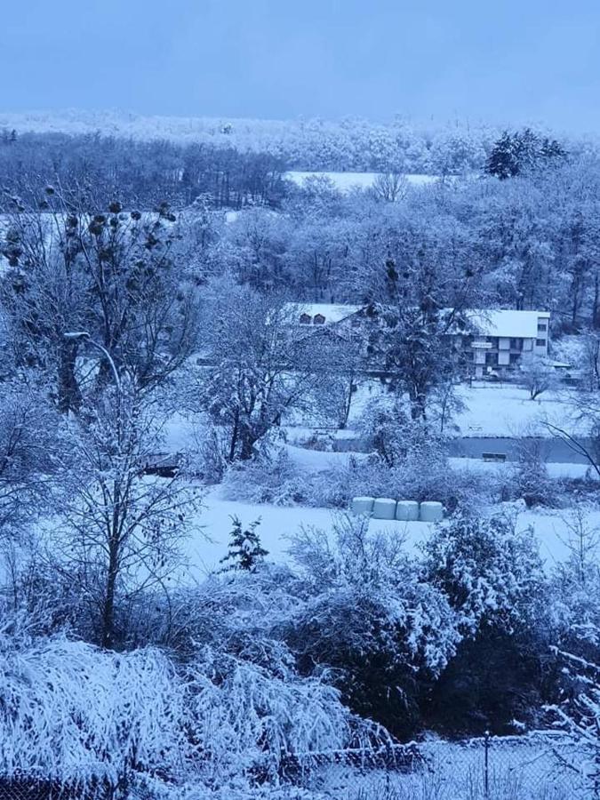 Landgasthof Rotlipp Gaestezimmer Ортенберг Екстер'єр фото